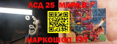 мдпв Жуковский