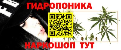 мяу мяу мука Заводоуковск