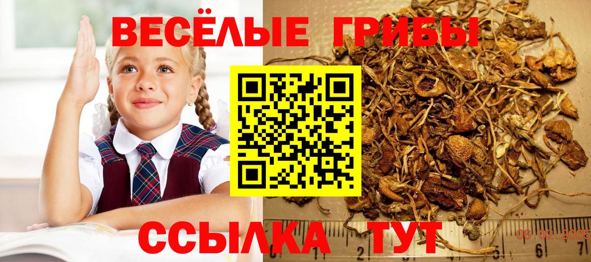 Галлюциногенные грибы Magic Shrooms  Вход с VPN  Зеленогорск 