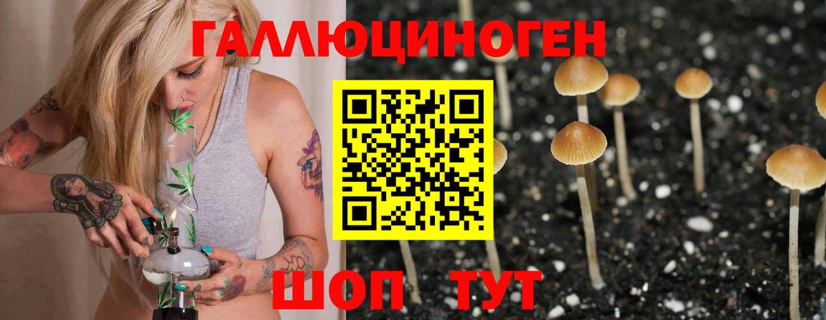 Псилоцибиновые грибы прущие грибы Зеленогорск